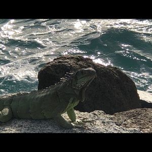 Meet your Posher, Karen